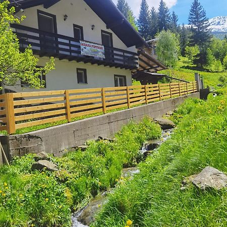 Casa Pietrosu Rodnei Otel Borşa Dış mekan fotoğraf