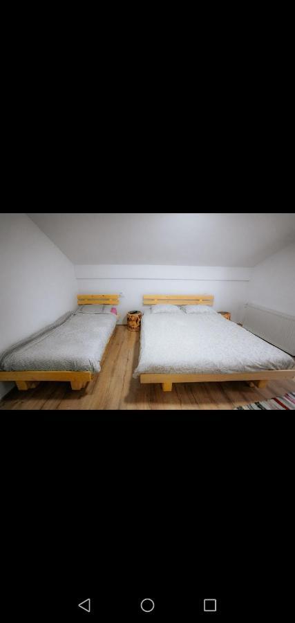 Casa Pietrosu Rodnei Otel Borşa Dış mekan fotoğraf