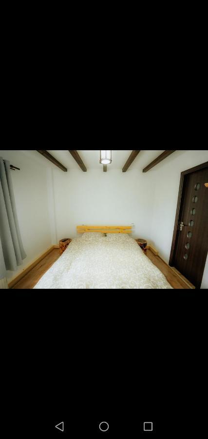 Casa Pietrosu Rodnei Otel Borşa Dış mekan fotoğraf
