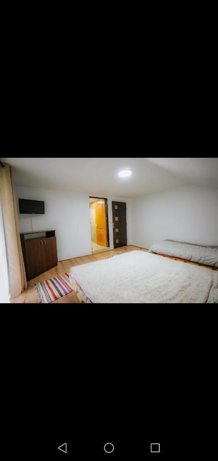 Casa Pietrosu Rodnei Otel Borşa Dış mekan fotoğraf