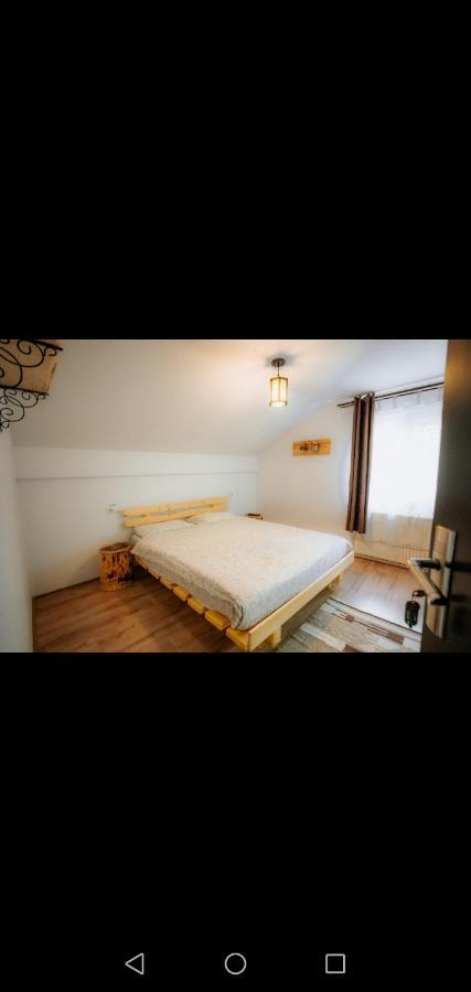 Casa Pietrosu Rodnei Otel Borşa Dış mekan fotoğraf