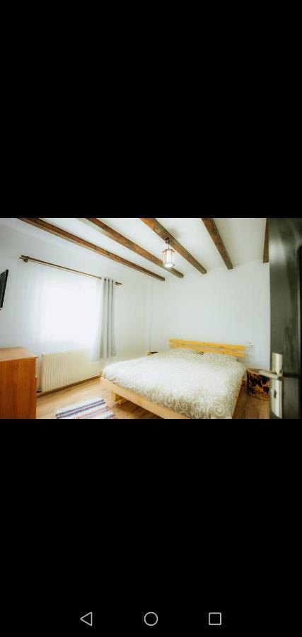 Casa Pietrosu Rodnei Otel Borşa Dış mekan fotoğraf