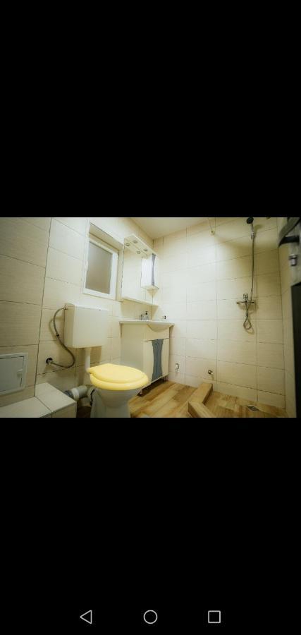 Casa Pietrosu Rodnei Otel Borşa Dış mekan fotoğraf