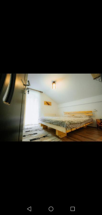 Casa Pietrosu Rodnei Otel Borşa Dış mekan fotoğraf