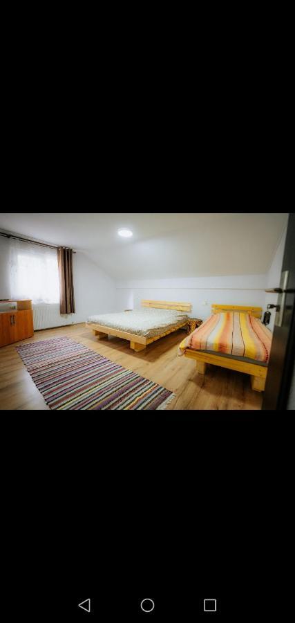 Casa Pietrosu Rodnei Otel Borşa Dış mekan fotoğraf