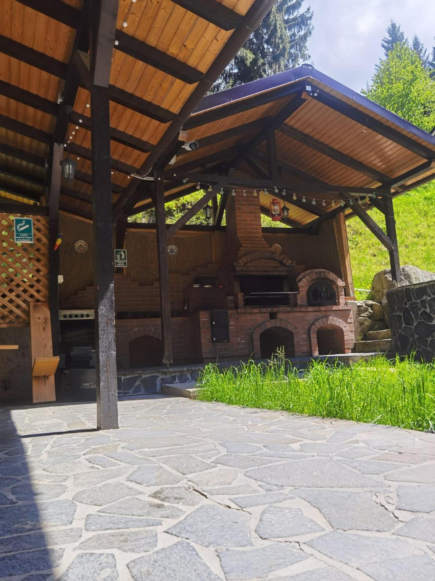 Casa Pietrosu Rodnei Otel Borşa Dış mekan fotoğraf